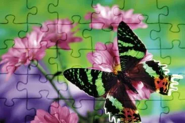 Natureza jigsaw puzzle