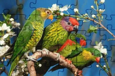 Natureza jigsaw puzzle