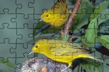 Natureza jigsaw puzzle