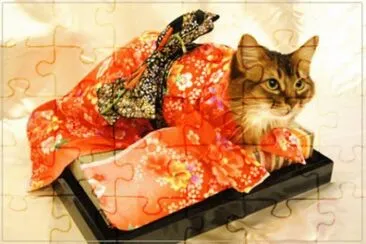 kimono jigsaw puzzle