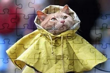 como llueve jigsaw puzzle