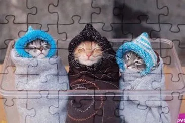 que frio jigsaw puzzle