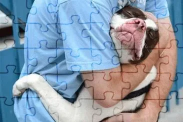 abrazo jigsaw puzzle