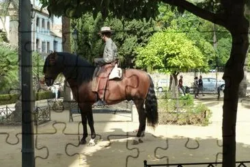 Cordoba, Spain jigsaw puzzle