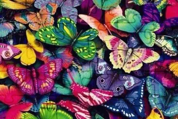 butterflies jigsaw puzzle