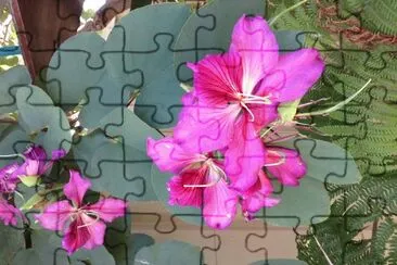 garden jigsaw puzzle