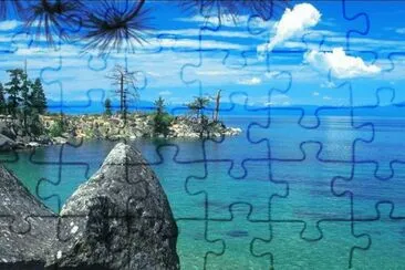 f jigsaw puzzle