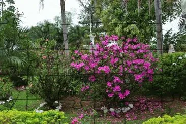 En Puerto IguazÃº. Misiones. Argentina