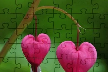 flores 4 jigsaw puzzle