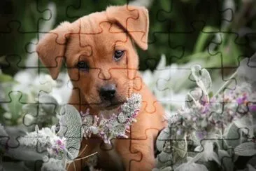 9 jigsaw puzzle