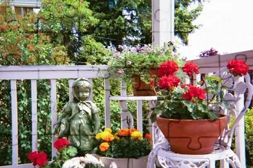 פאזל של Container garden