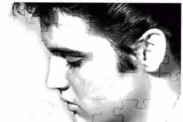 Fotos de Elvis Presley!