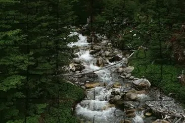 Cerca de Ushuaia. Tierra del Fuego. Argentina