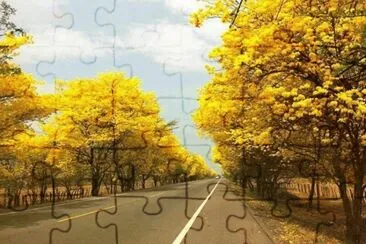 vzla jigsaw puzzle