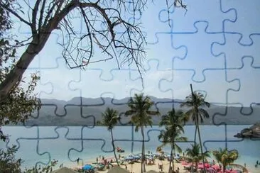 vzla jigsaw puzzle