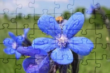 18 jigsaw puzzle