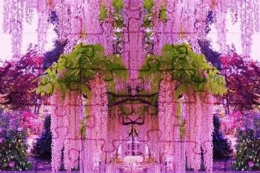 Wisteria Garden-Japan