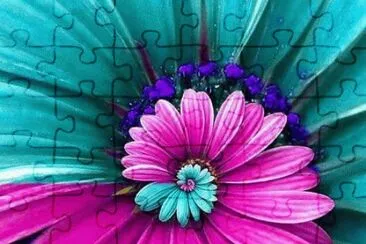 Amazing Flower jigsaw puzzle