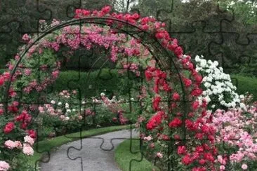 Rose Covered Garden Entrance