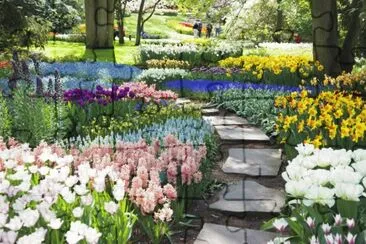 Vibrant Colorful Garden