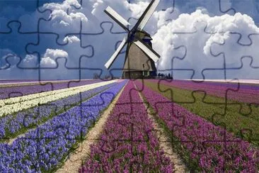 holand jigsaw puzzle