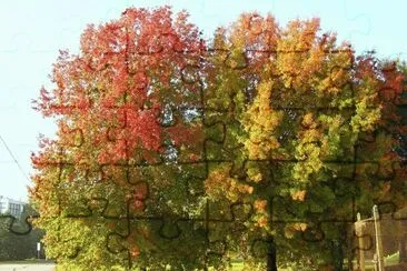 פאזל של OtoÃ±o en Villa Martelli. Buenos Aires. Argentina