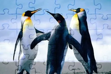 pinguÃ¯nos