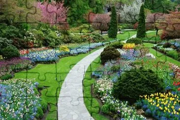 Colorful Garden Walkway