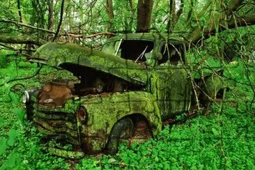 truck-moss-woods_42607_600x450