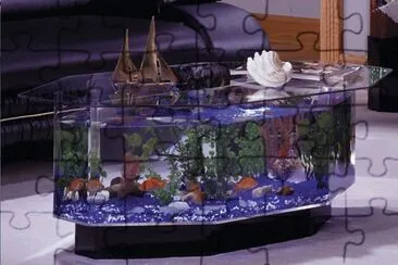 Unique Aquarium Table