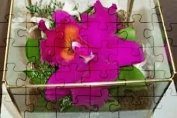 OrquÃ­dea jigsaw puzzle