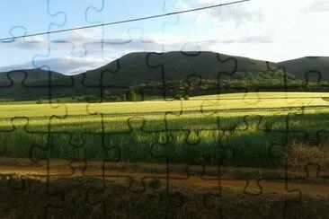 i colori della maremma - Marina D 'Alberese