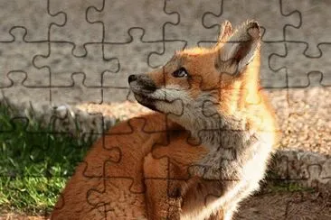 â˜º jigsaw puzzle