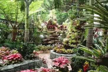 jardin venezolano