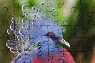 Animales en peligro de extinciÃ³n jigsaw puzzle