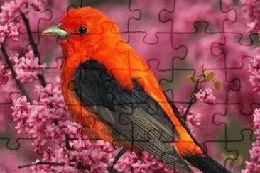 Animales en peligro de extinciÃ³n jigsaw puzzle