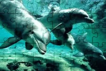 MUNDO MARINO jigsaw puzzle