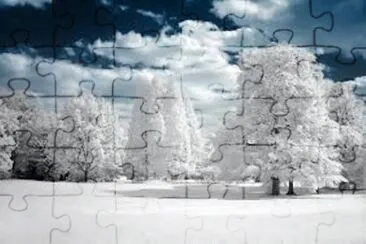 Paisaje jigsaw puzzle