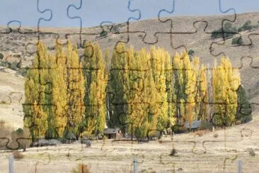 Cerca de JunÃ­n de los Andes. NeuquÃ©n. Argentina jigsaw puzzle