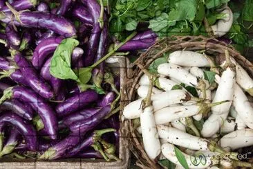 Purple and White Aubergines-Bali Food