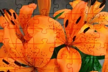 flores jigsaw puzzle