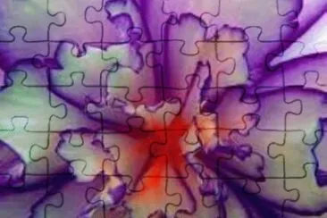 flores jigsaw puzzle