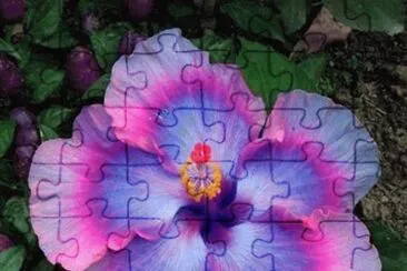 imigens jigsaw puzzle