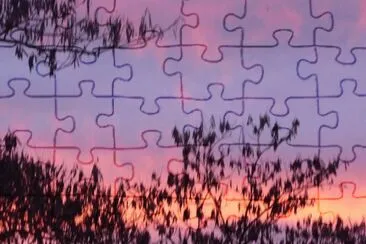 coucher de soleil jigsaw puzzle