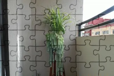 Dedo de Moça e Capim Cidreira jigsaw puzzle