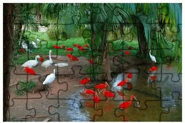 Scarlet Ibis and Waterbirds-Brazil jigsaw puzzle