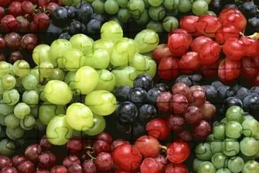 Uvas