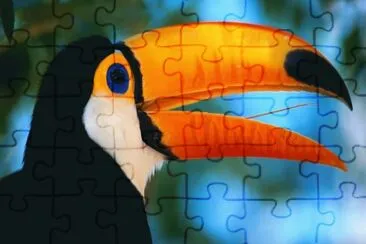 animais diversos jigsaw puzzle