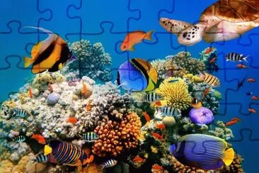 fundo do mar Hawai jigsaw puzzle