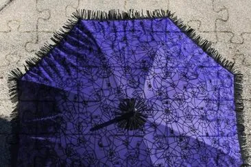 Goth Spider Web Parasol